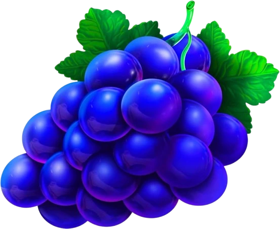 icon1